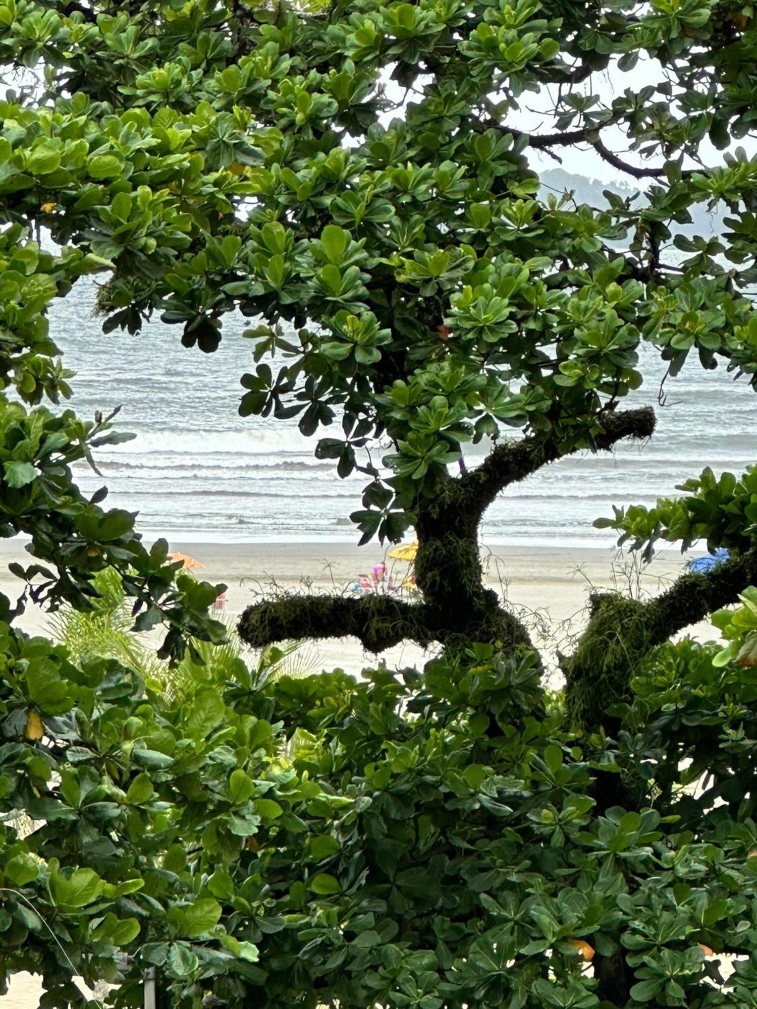 Ap Pe Na Areia Vista Parcial Mar Apartment Santos  Exterior photo